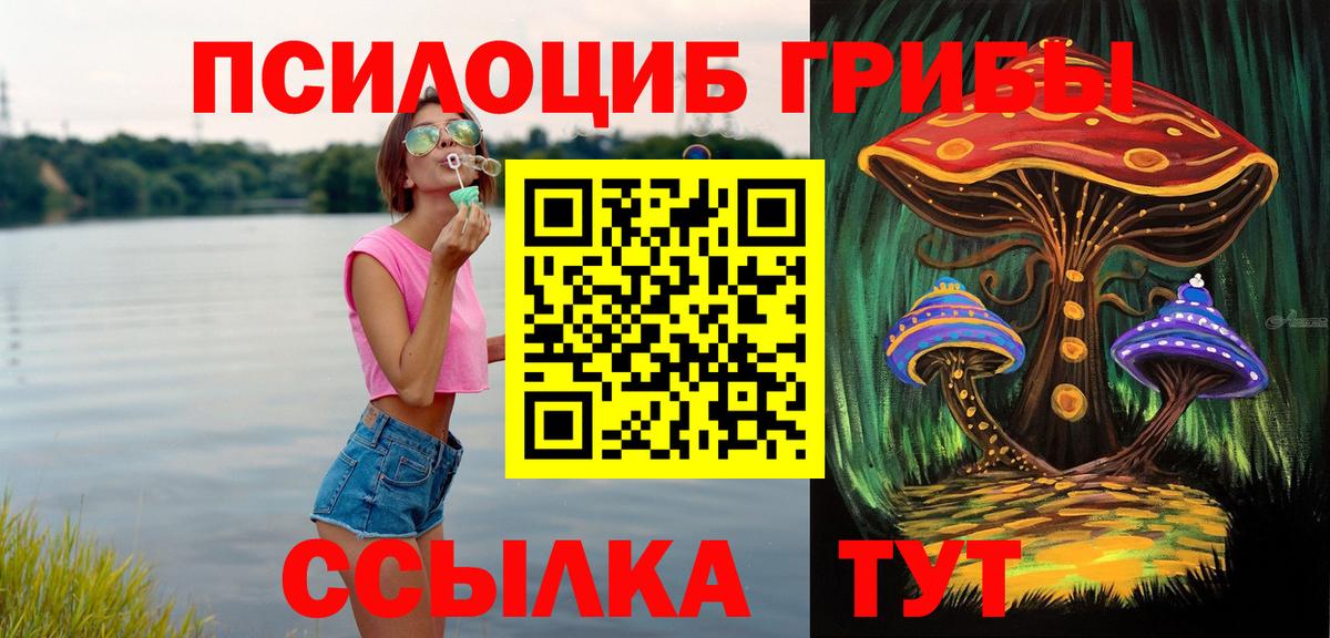 Галлюциногенные грибы GOLDEN TEACHER  Псилоцибиновые грибы мицелий  Орск  Вход с VPN 